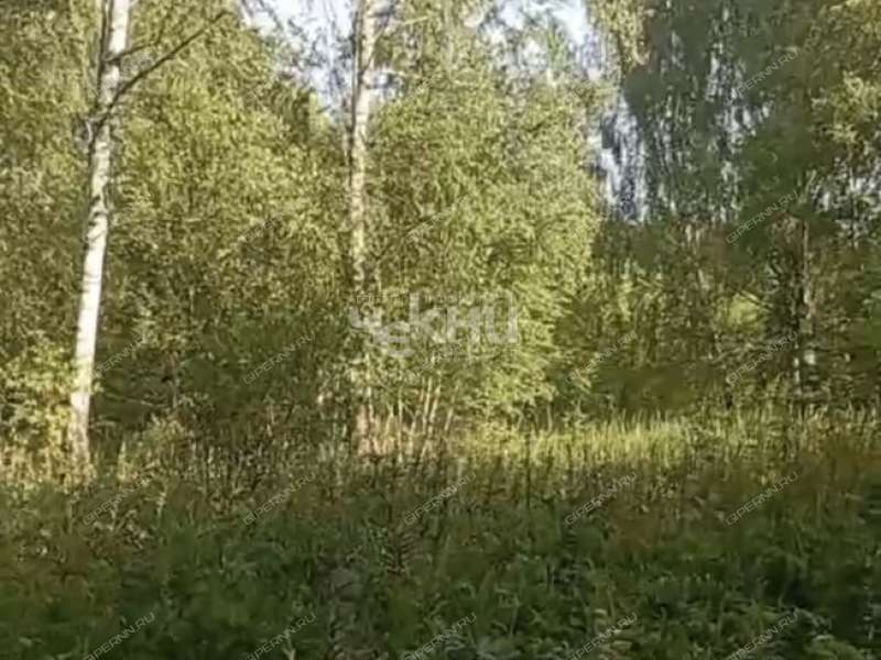 земельный участок 10 004 сотки деревня Досадино